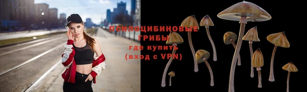 крисы Абинск