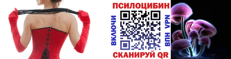Псилоцибиновые грибы Cubensis  Калачинск 